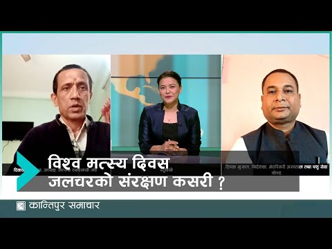 विश्व मत्सय दिवस : जलचरको संरक्षण कसरी गर्ने ?  | Kantipur Samachar