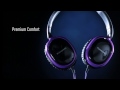 Panasonic RP-HX250 Headphones