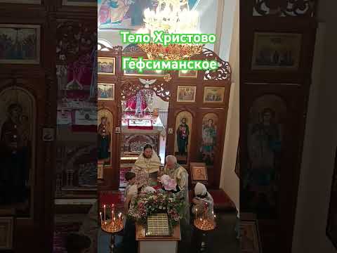 Тело Христово Гефсиманского напева. Двухголосье. #телоХристово, #клирос #причастие #гефсиманское