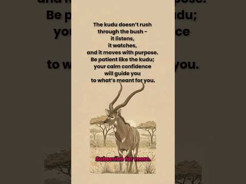 Be Patient Like a Kudu... #shorts #motivation #naturelovers #success
