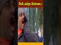 Actor Sunil Best Funny Comedy Scenes #ytshorts #shorts #sunil #msnarayanacomedy | Navvula Tv  - 01:00 min - News - Video