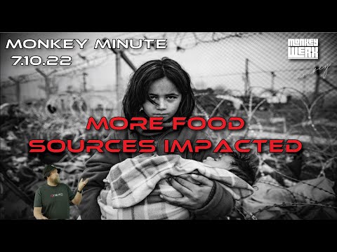 Monkey Minute 7.10.22 - More Food Sources Impacted!