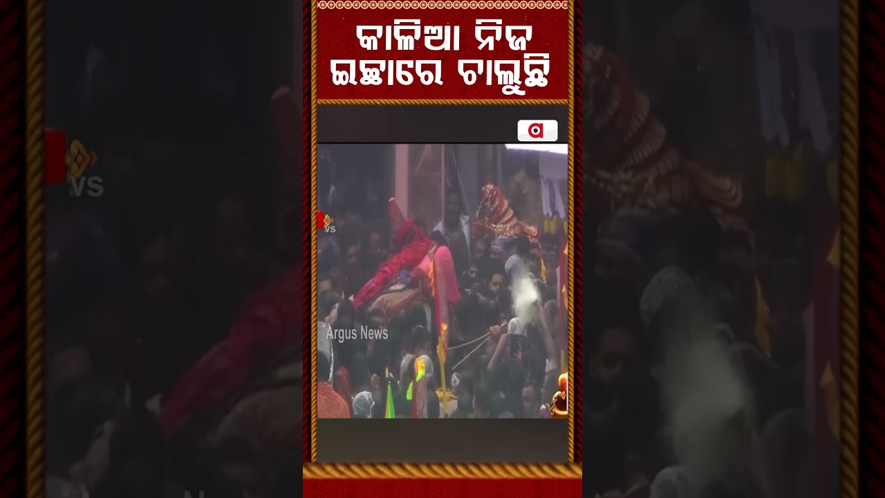 କାଳିଆ ନିଜ ଇଚ୍ଛାରେ ଚାଲୁଛି | RathYatra 2026 | Jagannath Walking On His Own Will At Puri Bada Danda