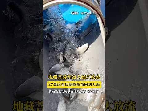 【活動報導】地藏菩薩聖誕大願大放流 雲林箔子寮漁港放生27萬尾魚苗