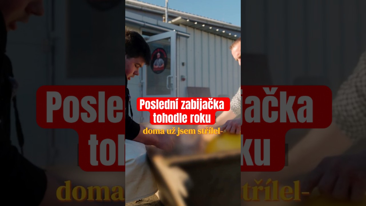 Poslední zabijačka roku: Jarní porážka prasete v ideálním počasí