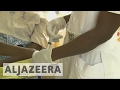Al Jazeera : World's first malaria vaccination approved