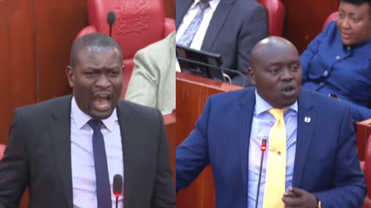 ''SIT DOWN, WACHA UJINGA,'' ANGRY SENATOR SIFUNA ALMOST EXCHANGE BLOWS WITH CHERARGEI