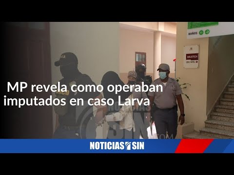 Ministerio Público revela como operaban imputados en caso Larva