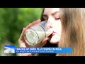 Traces of bird flu found in milk  - 01:58 min - News - Video