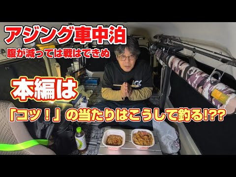【アジング】「コツ！」という当たりはこうして釣ればいい！？？（≧∇≦）m(_ _)m