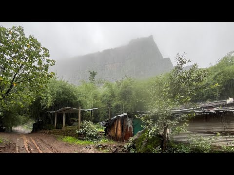 Brahmagiri Tracking￼ 