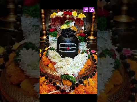 Om namah Shivay 🕉️ #mahadev #shivshambhu #bhajan #love #shivparvati #shivbhajan #mahadevbhakt