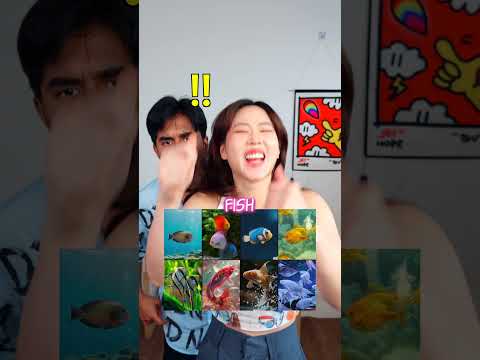RIGGED THE CHALLENGE