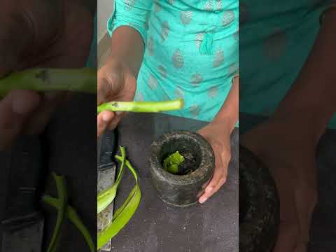 Grow lucky bamboo cuttings faster in water 💦