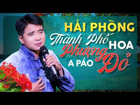 Hải Phòng Thành Phố Hoa Phượng Đỏ 2026 - A PÁO HÁT TẶNG BÀ CON Thành Phố Hoa Phượng Đỏ