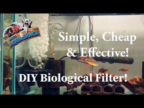 DIY Simple Aquarium Filter! (Biological Filtration In todays video, I’ll be going through exactly how I make my Biological filters! These are very ch