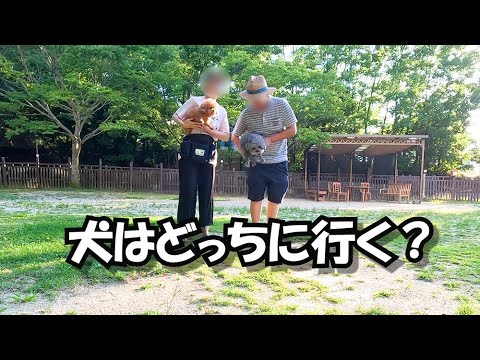 【流行りのやつ】パパママ逆に走ったら犬はどっちに行く？