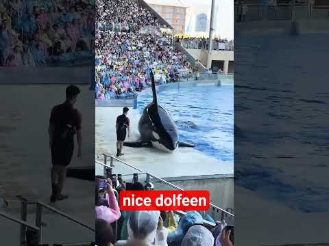 fish friend to human