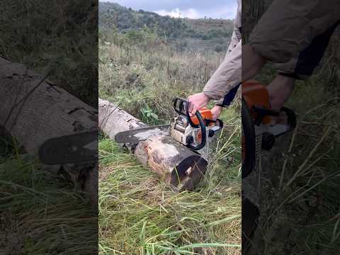 STIHL - MS 180 в роботі