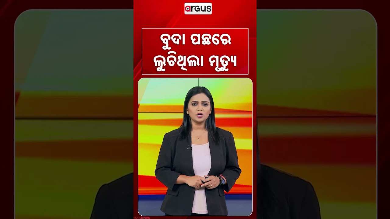 ବୁଦା ପଛରେ ଲୁଚିଥିଲା ମୃତ୍ୟୁ | Argus Reels | Lion Attack | WildLife | ViralVideo | ArgusNews