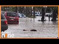 Mexico Flash Floods | Heavy Rains Trigger Flash Floods in Northern Mexico | News9