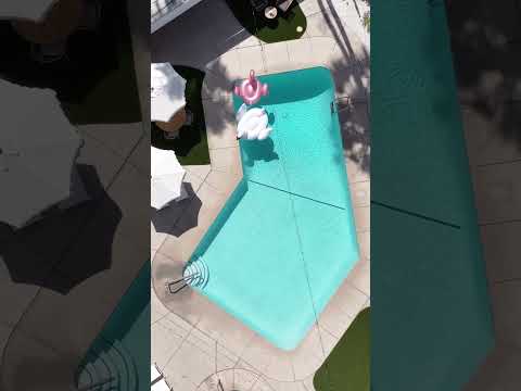Video realizado por la propiedad