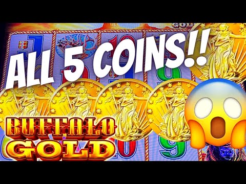 ALL 5 COINS ON BUFFALO GOLD! 🦬 WAS IT A CURSE?! Slot Machine (ARISTOCRAT GAMING)