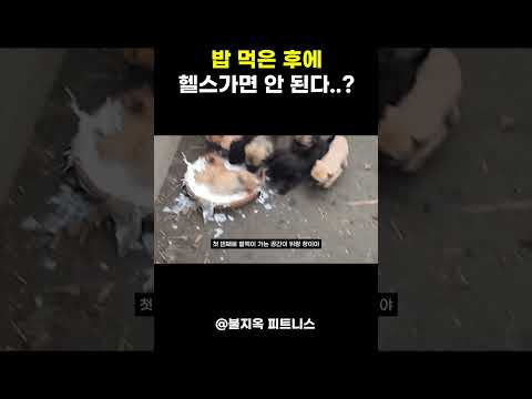 운동 효과 200% 올리는 식사 타이밍 (식후 vs 공복)