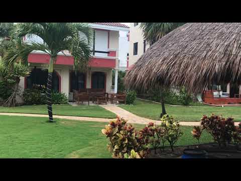 Property video