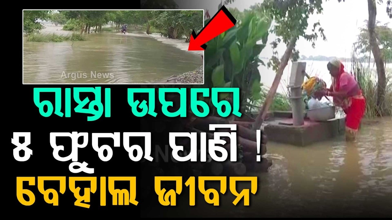 Basudevpur Flood Situation Alarming: 7 Panchayats Submerged | Communication Cut Off | Argus News
