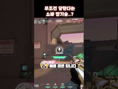 무조건 통한다는 소바 잡기술  #발로란트 #valorant