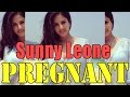 Is Sunny Leone pregnant? Watch what Bold Star said?