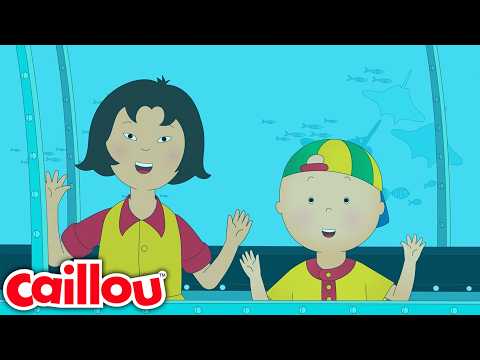 Caillou at the Aquarium | Caillou - WildBrain | Learning for Children