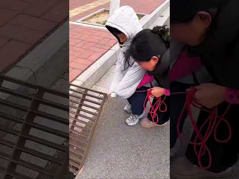 وقعوا الفلوس في البلاعة… فجابوا مغناطيس سحري! شوفوا اللي حصل! 😱💰