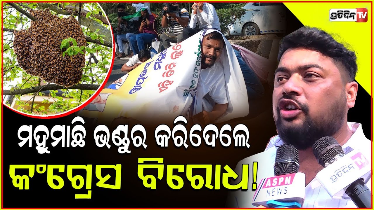 ମହୁମାଛି ଭଣ୍ଡୁର କରିଦେଲେ କଂଗ୍ରେସ ବିରୋଧ! Honey bee attack on congress protesters at IAS residence, Bbsr