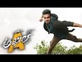 Akhil Movie Action & Release Trailers -Akhil,Sayyeshaa