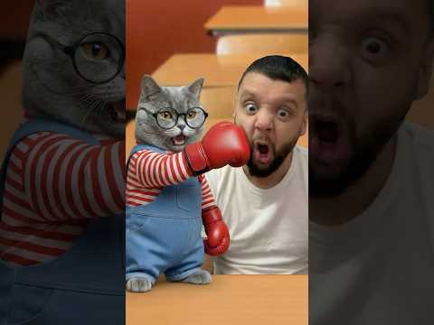 Oscar cat give me hacks for class test