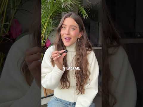 ¿Tu perro pequeño ladra todo el tiempo? -Lauvet #perros #cachorro