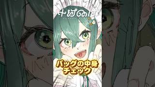 【バッグの中身】いま流行りのWhat's in my bag？ってやつに挑戦だ！