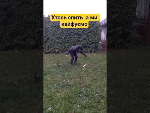 15 листопада 2025 р.