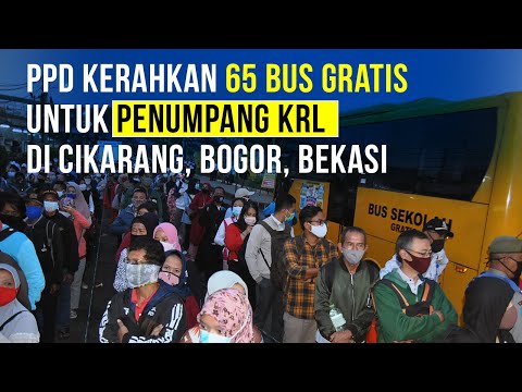 Bantuan Bus Gratis Untuk Penumpang KRL Bogor dan Cikarang