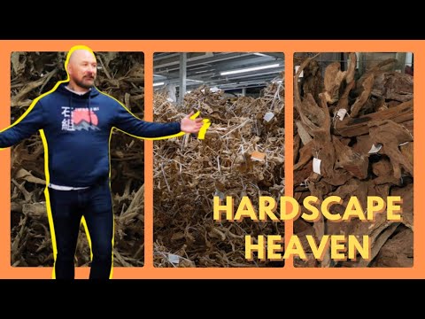 UNBELIEVABLE amounts of AQUASCAPING wood | HARDSCA #aquascaping #hardscapedesign #aquariumhobby #wood

Check all this aquascaping wood out!

Purchase f
