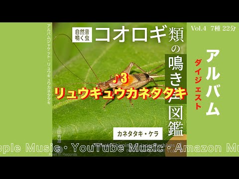カネタタキの調べ コオロギ類の鳴き声図鑑Vol 4アルバムダイジェスト /Crickets Chirping of Japan Archives Vol.4