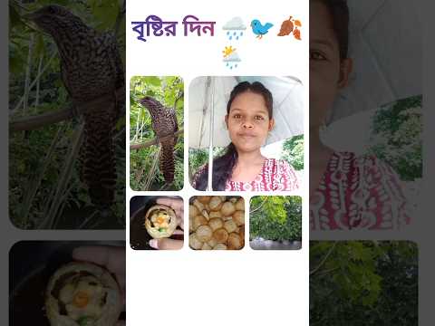 বৃষ্টির দিন🌧️🐦 #vlog #dailyvlog #minivlog #shorts #shortvideo #foryou #subscribe @RimiNaskar672
