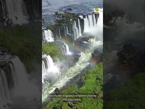 Faits Insolites n°23 #faitsinsolites#leSavaisTu #incroyableMaisVrai#funfact#shorts