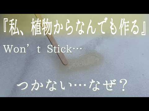 雪で固まらない!? メープルタフィ失敗の原因|自然派DIY検証(Maple Taffy Fail on Snow)