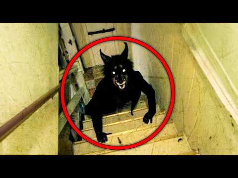 Bizarre Creatures That Were Caught on Camera