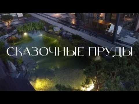 Водные ЗЕРКАЛА мечты: ПРУДЫ, завораживающие сердце #водоем #природнаякрасота #строительствопруда