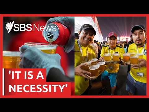 World Cup fans chant ‘we want beer’ as Qatar ban beers from stadiums