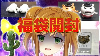 【ヴィレヴァン福袋】福袋開封しながらお酒のも【雑談】